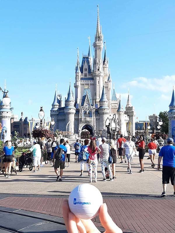 Disneyland — 2020 Q1 Parking BOXX Ball contest