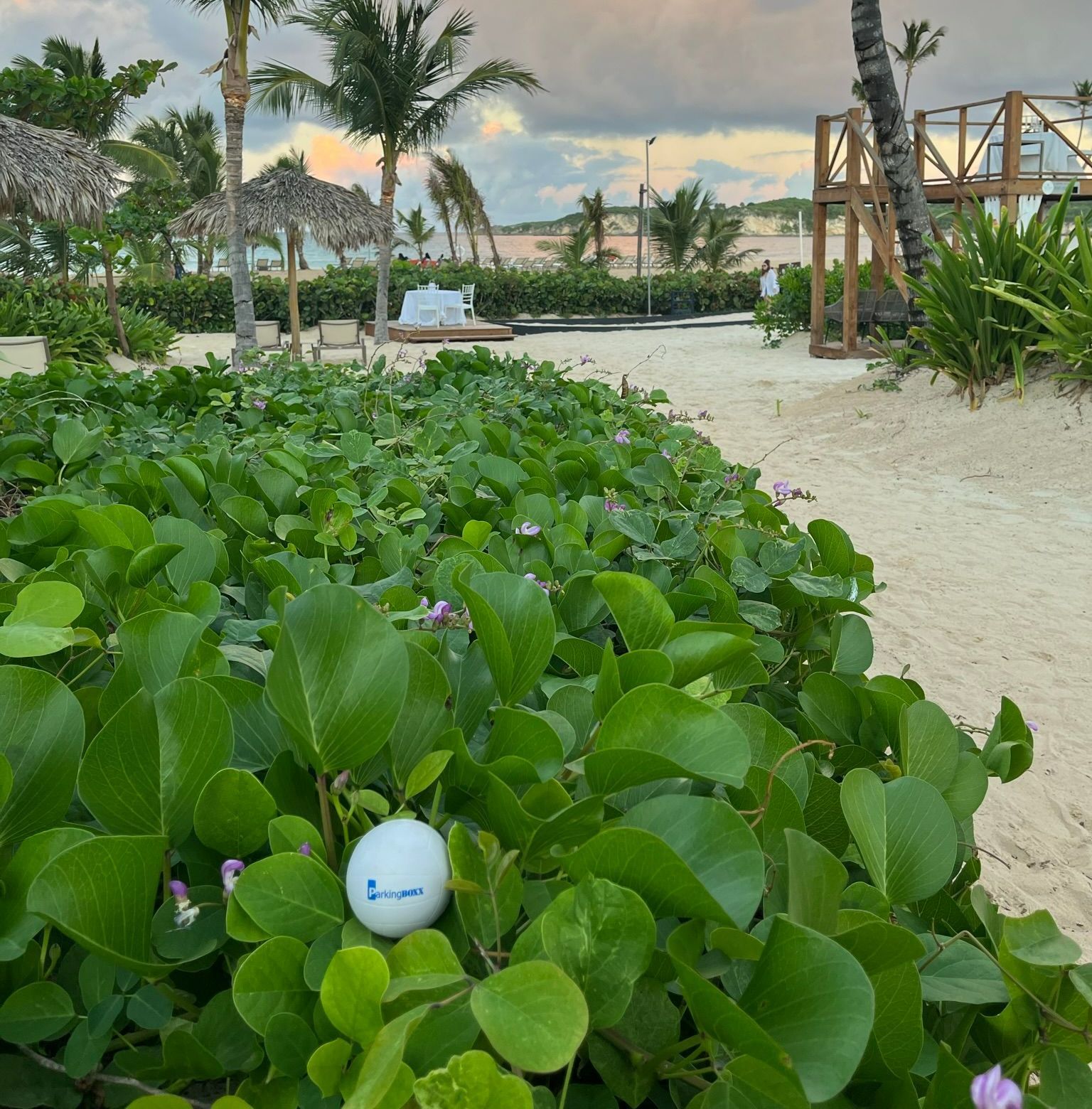 Dominican Republic — 2023 Q3 Parking BOXX Ball contest