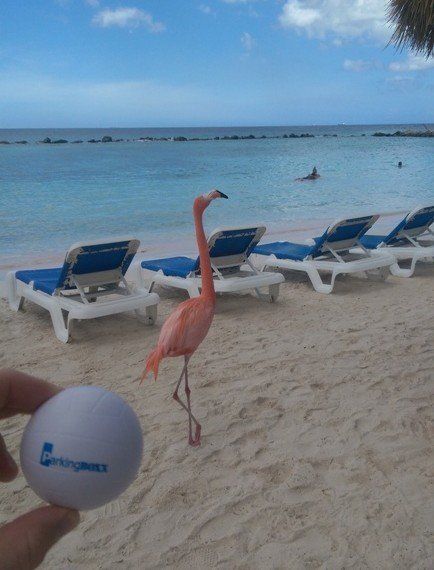 Aruba — 2015 Q2 Parking BOXX Ball contest