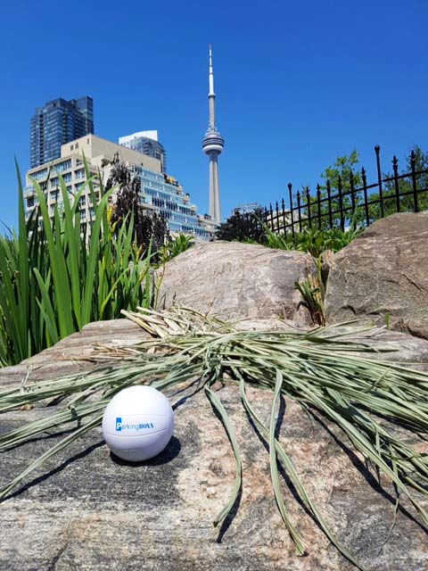 Toronto — 2017 Q1 Parking BOXX Ball contest