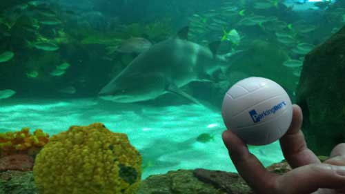 Ripley's Aquarium of Canada — 2014 Q2 Parking BOXX Ball contest